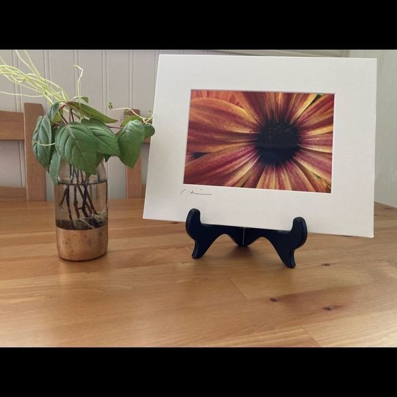 New Original Signed Photography - Picture 1 of 4